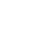 Apex